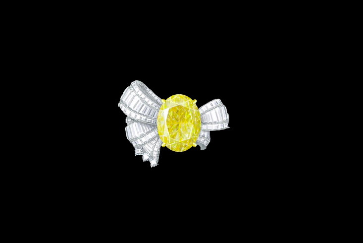 SOIE DIOR RING
Weißgold und Gelbgold sowie weiße und gelbe Diamanten