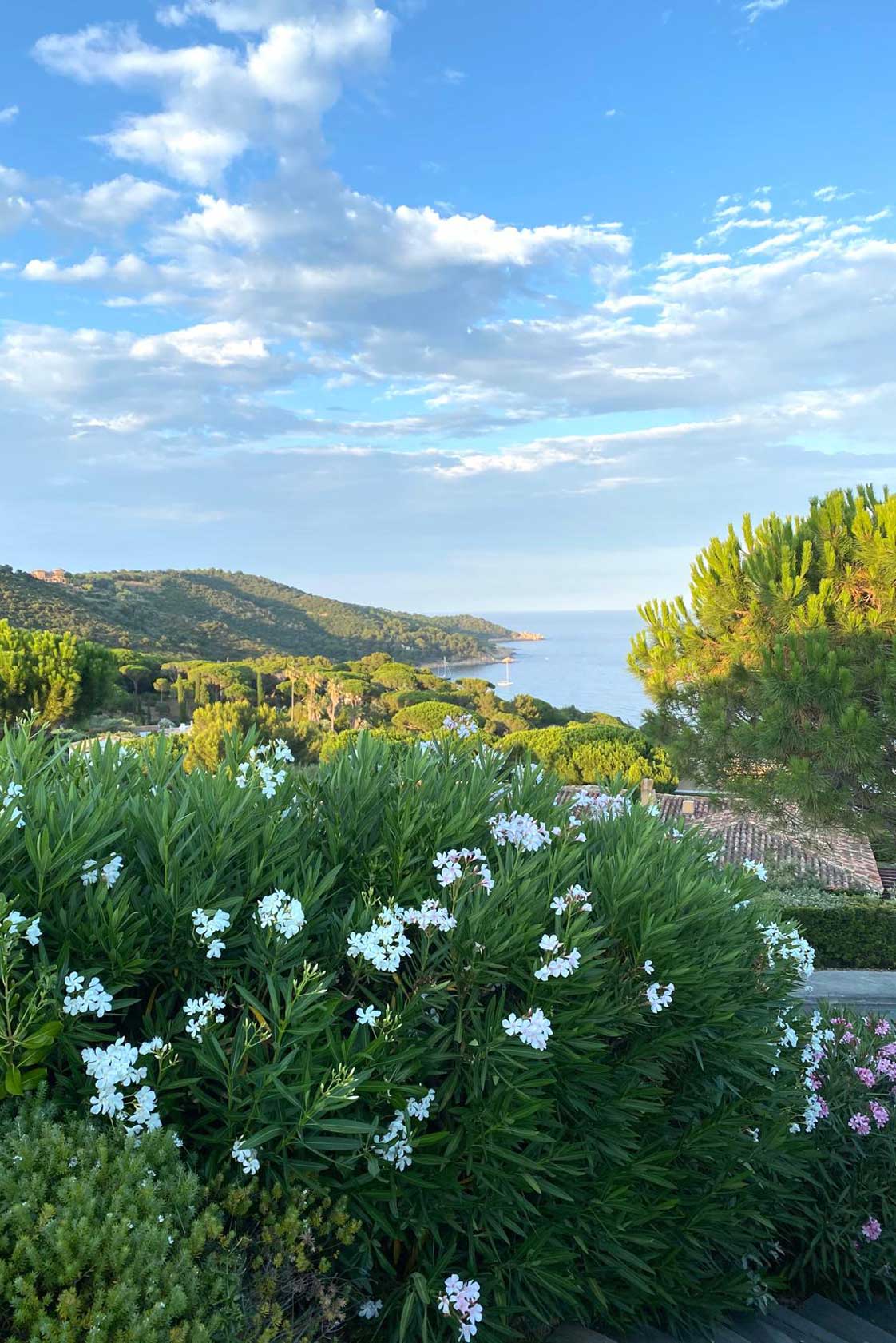 Grüne Wälder treffen auf das satte Blau der Riviera.