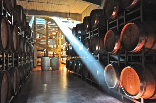Das »Weingut Lacerta«.