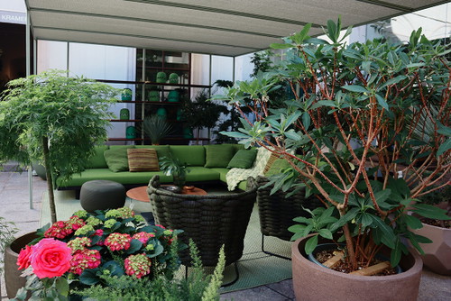 LIVING-Design-Frühstück mit Paola Lenti bei Kramer &amp; Kramer