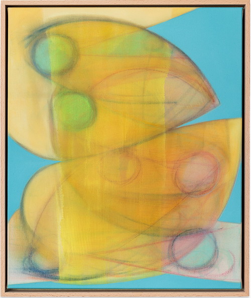 Julien Saudubray
study #39, 2024
Oil and dry pastel on canvas
60 × 50 cm (framed)