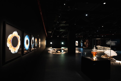 Black Gold Museum, Encounter Section