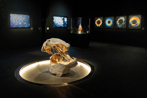 Black Gold Museum, Encouter Section