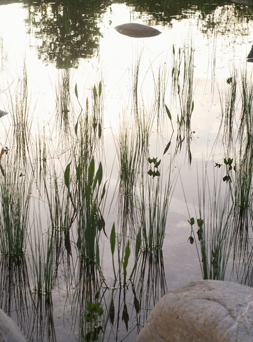 Vitra Water Par