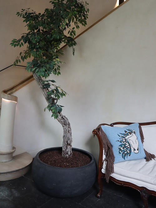 Evolution21 im Hotel Botanic Sanctuary Antwerp