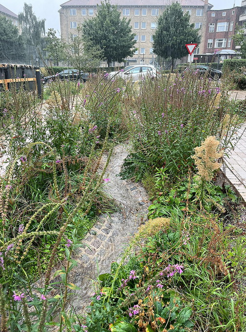 Grønningen-Bispeparken,  Kopenhagen
