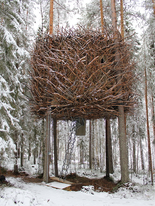 Treehotel, »Birds Nest«