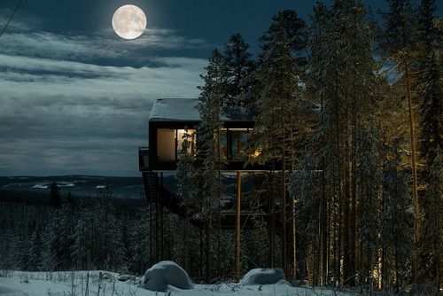Treehotel »The 7th Room«