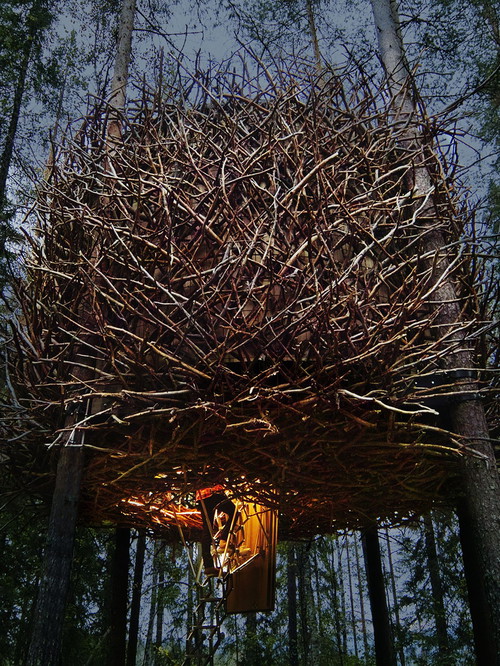 Treehotel, »Birds Nest«