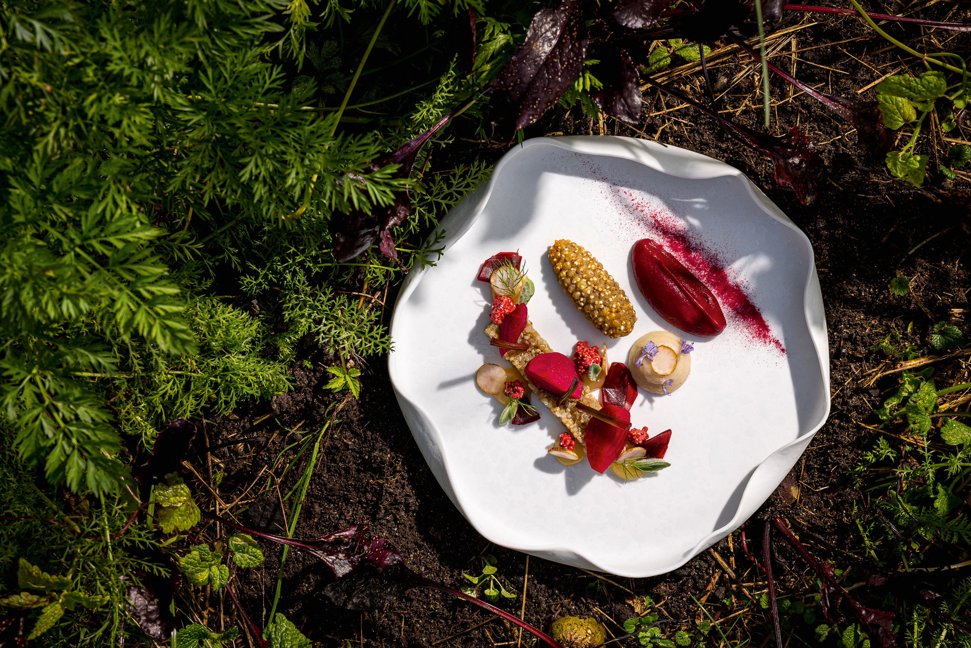 Vegetarische Köstlichkeiten aus der hauseigenen Permakulturgarten.