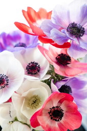 Muttertag: 10 Beauty-Geschenke für Mama