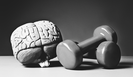 Brain Jogging: Gymnastik fürs Gehirn