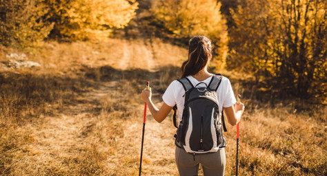 Nordic Walking: Sanftes Ganzkörpertraining für den Herbst