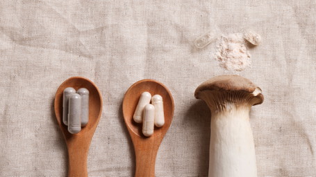 Vitalpilze: Wie Reishi, Chaga & Co. Körper und Geist stärken