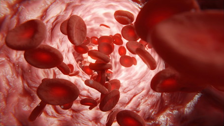 Mitochondrien: Unsere Energielieferanten endlich (einfach) erklärt