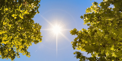 Wie Sommerhitze sich auf Körper und Seele auswirkt