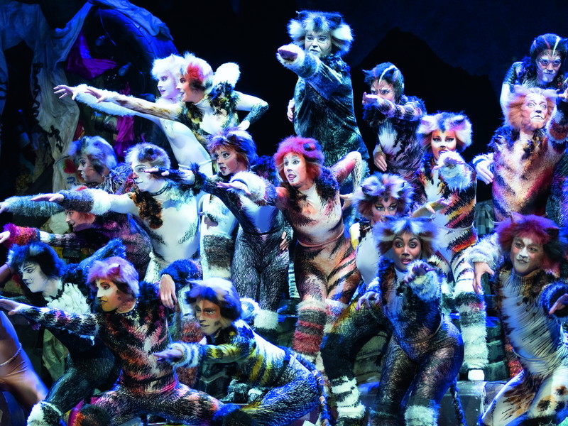 Andrew Lloyd Webbers Cats begeistern Musicalfans seit Jahrzehnten. Auch im Wiener Ronacher erfreut sich das Musical großer Beliebtheit.
