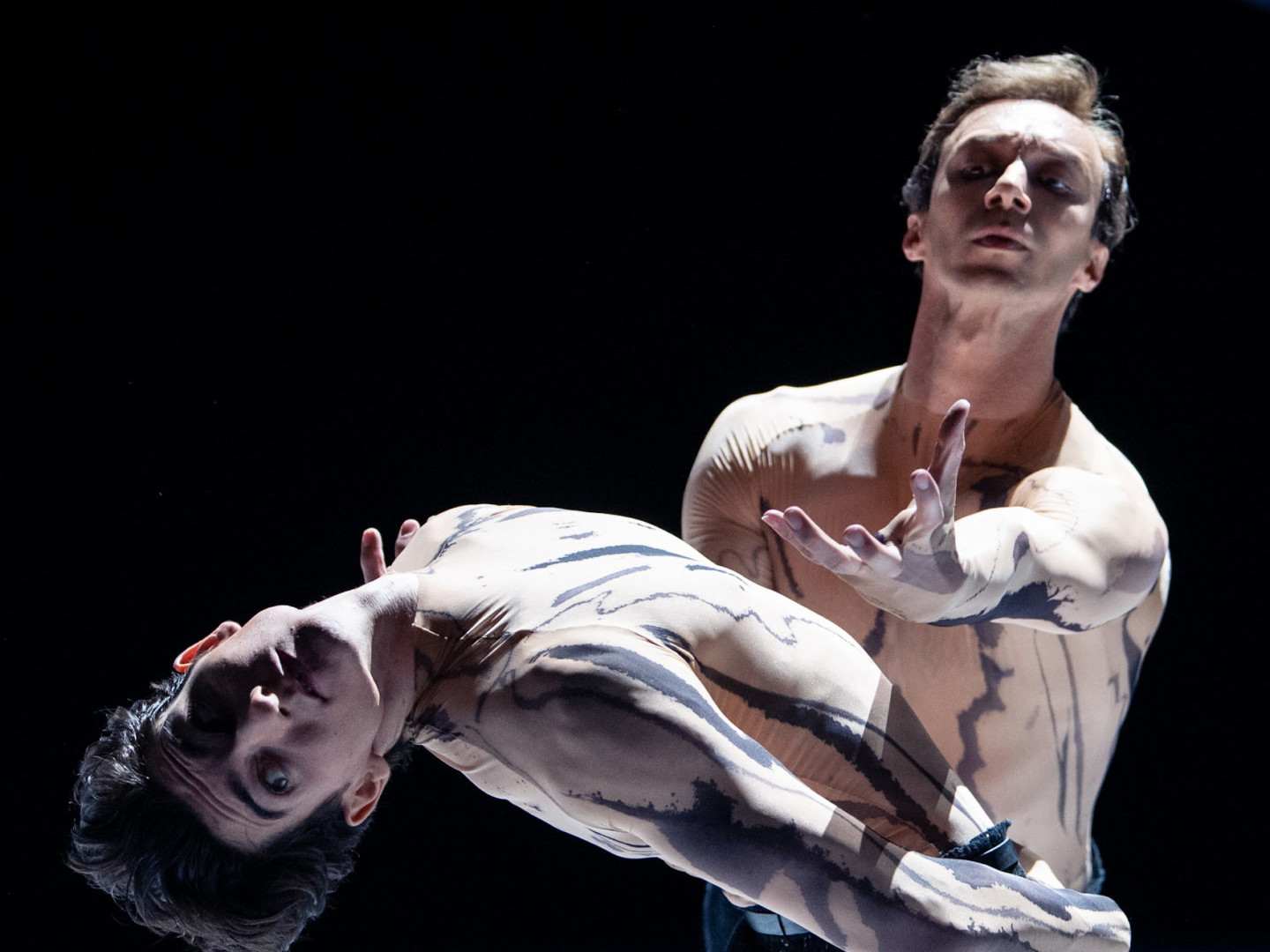 Am Donnerstag ist die Uraufführung von Marco Goeckes Choreographie aus dem Ballett-Abend „Im siebten Himmel" noch einmal digital zu erleben. Im Bild tanzen Duccio Tariello 
