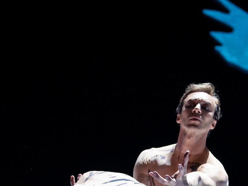 Am Donnerstag ist die Uraufführung von Marco Goeckes Choreographie aus dem Ballett-Abend „Im siebten Himmel" noch einmal digital zu erleben. Im Bild tanzen Duccio Tariello 