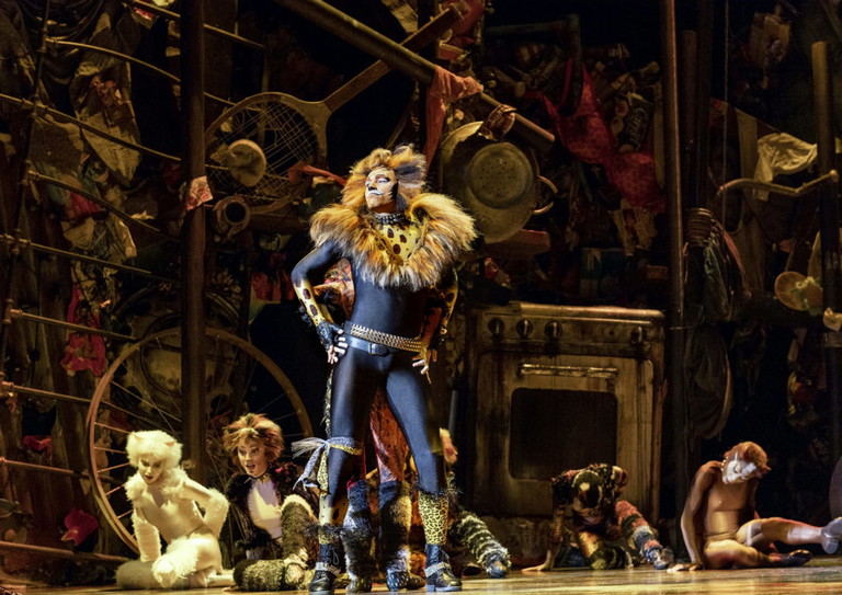 Als Rum Tum Tugger ist Dominik Hees einer der Publikumslieblinge des „Cats“-Ensembles. 