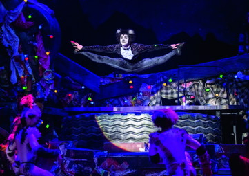 Fünf Gründe, Cats im Theater und nicht im Kino anzuschauen