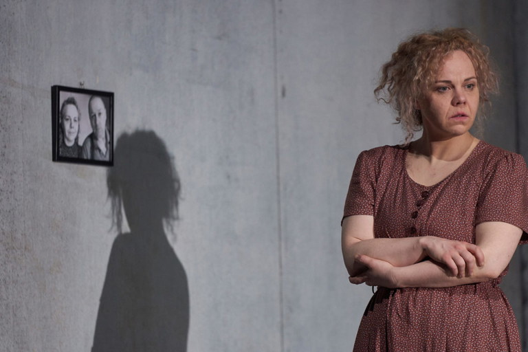 Für die Rolle der Aloisia im Stück „Adern“ wurde Sarah Viktoria Frick mit dem Nestroy in der Kategorie „Beste Schauspielerin“ ausgezeichnet. 
