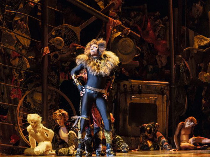 Ab September steht das Kultmusical Cats im Wiener Ronacher wieder am Programm.