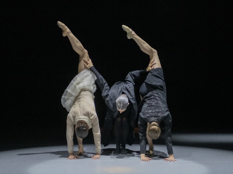 In der Produktion zu sehen: Olga Smirnova, Chloé Albaret, Keren Leiman, Mikaela Kelly, Toon Lobach, Roger Van der Poel, Sebastian Pico Haynes und Jorge Nozal. 