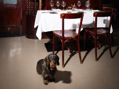 In Gehweite des Theaters in der Josefstadt befindet sich das Restaurant Kommod. Severin Corti war für die BÜHNE vor Ort. 
