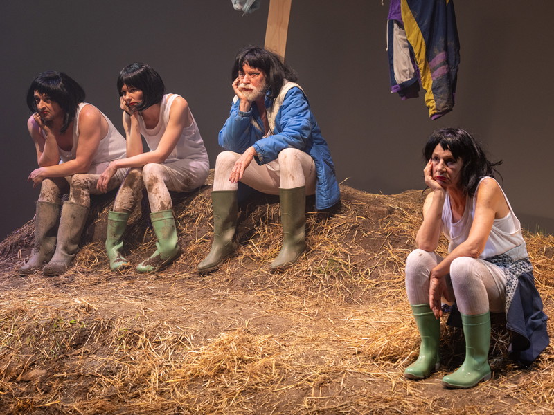 Das Ensemble: Sebastian Pass, Lisa Schrammel, Klaus Huhle und Martina Spitzer. 