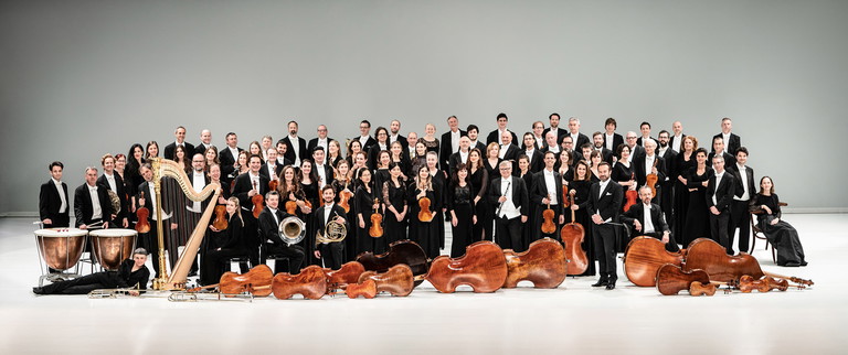 Schon 1973 gab das Tonkünstler-Orchester Niederösterreich sein erstes Konzert in Grafenegg.
Seit der Gründung des Festivals 2007 ist es prägender künstlerischer Bestandteil desselben.