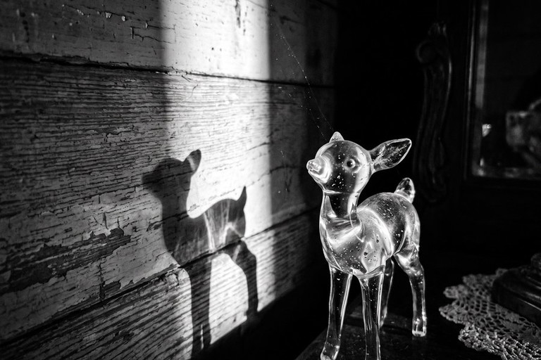 Die Glasmenagerie
