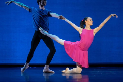 Natalya Butchko, Arne Vandervelde (Interplay)